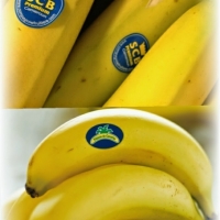  - etiquetas para salsas,etiquetas para jamón y embutidos