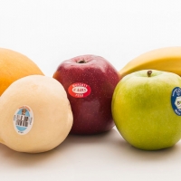  - etiquetas tlaquepaque,vestimos de etiqueta su producto